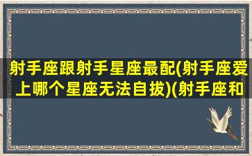 射手座跟射手星座最配(射手座爱上哪个星座无法自拔)(射手座和星座配对)