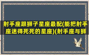 射手座跟狮子星座最配(能把射手座迷得死死的星座)(射手座与狮子座的配对指数是多少)