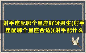 射手座配哪个星座好呀男生(射手座配哪个星座合适)(射手配什么星座的男生)