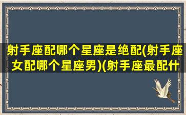 射手座配哪个星座是绝配(射手座女配哪个星座男)(射手座最配什么星座的女生)