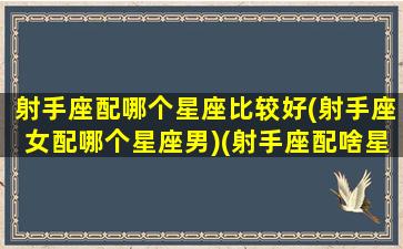 射手座配哪个星座比较好(射手座女配哪个星座男)(射手座配啥星座最好)