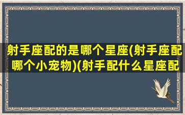 射手座配的是哪个星座(射手座配哪个小宠物)(射手配什么星座配对)