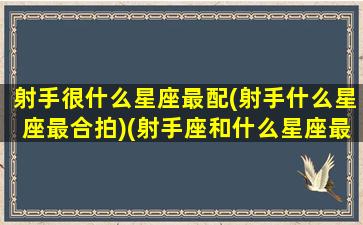 射手很什么星座最配(射手什么星座最合拍)(射手座和什么星座最配做男女朋友)