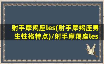 射手摩羯座les(射手摩羯座男生性格特点)/射手摩羯座les(射手摩羯座男生性格特点)-我的网站