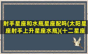 射手星座和水瓶星座配吗(太阳星座射手上升星座水瓶)(十二星座射手和水瓶在一起会怎样)