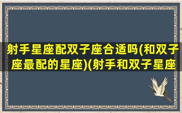 射手星座配双子座合适吗(和双子座最配的星座)(射手和双子星座配不配)