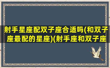 射手星座配双子座合适吗(和双子座最配的星座)(射手座和双子座星座最配对)