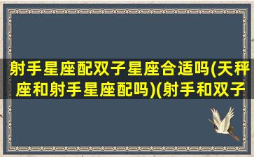 射手星座配双子星座合适吗(天秤座和射手星座配吗)(射手和双子星座配不配)