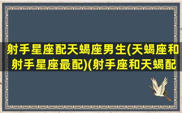 射手星座配天蝎座男生(天蝎座和射手星座最配)(射手座和天蝎配不配)