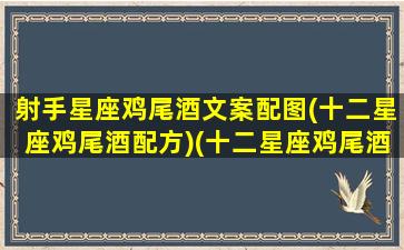 射手星座鸡尾酒文案配图(十二星座鸡尾酒配方)(十二星座鸡尾酒百度百科)