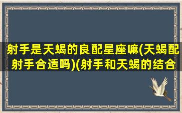 射手是天蝎的良配星座嘛(天蝎配射手合适吗)(射手和天蝎的结合性格)