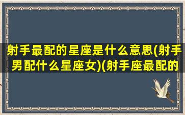 射手最配的星座是什么意思(射手男配什么星座女)(射手座最配的星座男生)