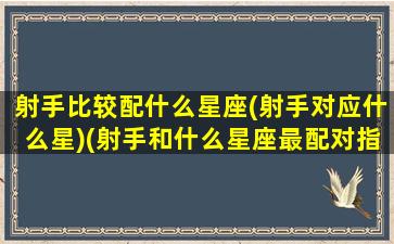 射手比较配什么星座(射手对应什么星)(射手和什么星座最配对指数)