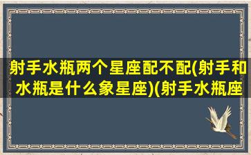 射手水瓶两个星座配不配(射手和水瓶是什么象星座)(射手水瓶座是双星座吗)