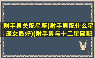 射手男关配星座(射手男配什么星座女最好)(射手男与十二星座配对指数)