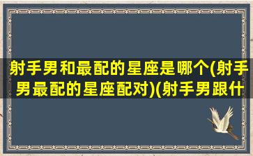 射手男和最配的星座是哪个(射手男最配的星座配对)(射手男跟什么星座最配对)