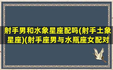 射手男和水象星座配吗(射手土象星座)(射手座男与水瓶座女配对指数)