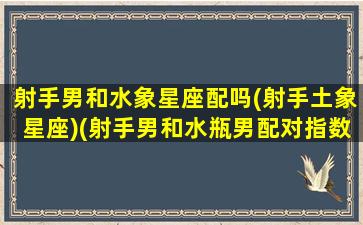 射手男和水象星座配吗(射手土象星座)(射手男和水瓶男配对指数)