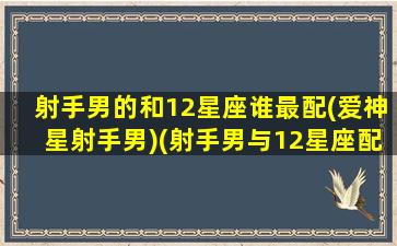 射手男的和12星座谁最配(爱神星射手男)(射手男与12星座配对表)