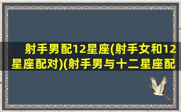 射手男配12星座(射手女和12星座配对)(射手男与十二星座配对指数)