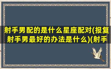 射手男配的是什么星座配对(报复射手男最好的办法是什么)(射手男败给什么星座女)