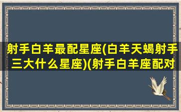 射手白羊最配星座(白羊天蝎射手三大什么星座)(射手白羊座配对指数)