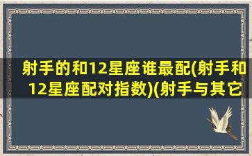 射手的和12星座谁最配(射手和12星座配对指数)(射手与其它十二星座的缘分)