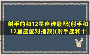 射手的和12星座谁最配(射手和12星座配对指数)(射手座和十二星座的相处模式)