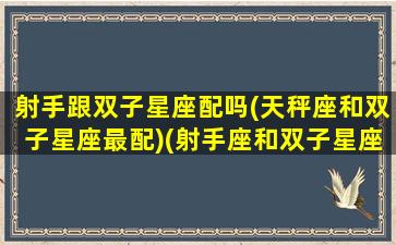 射手跟双子星座配吗(天秤座和双子星座最配)(射手座和双子星座合不合)