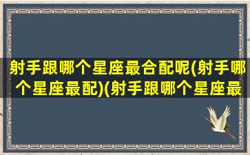 射手跟哪个星座最合配呢(射手哪个星座最配)(射手跟哪个星座最般配)