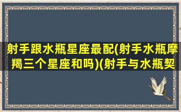 射手跟水瓶星座最配(射手水瓶摩羯三个星座和吗)(射手与水瓶契合度)