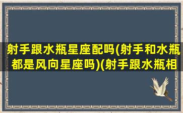 射手跟水瓶星座配吗(射手和水瓶都是风向星座吗)(射手跟水瓶相配吗)