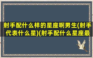 射手配什么样的星座啊男生(射手代表什么星)(射手配什么星座最合适)