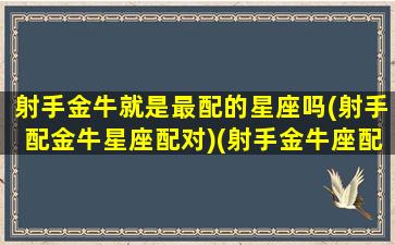 射手金牛就是最配的星座吗(射手配金牛星座配对)(射手金牛座配对指数)