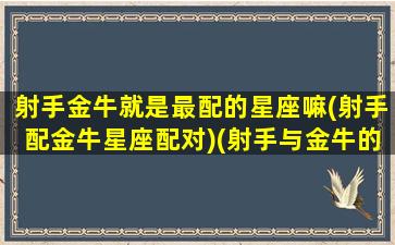 射手金牛就是最配的星座嘛(射手配金牛星座配对)(射手与金牛的配对情况)