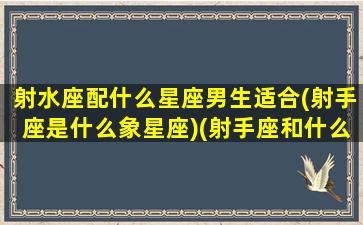 射水座配什么星座男生适合(射手座是什么象星座)(射手座和什么星座最配水瓶)