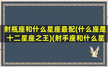 射瓶座和什么星座最配(什么座是十二星座之王)(射手座和什么星座最配水瓶)