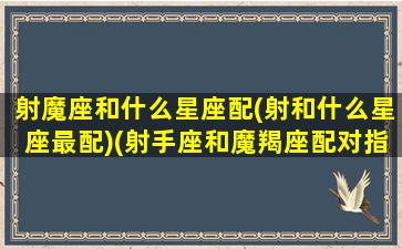 射魔座和什么星座配(射和什么星座最配)(射手座和魔羯座配对指数)