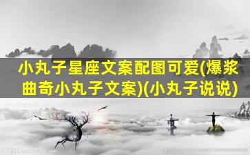 小丸子星座文案配图可爱(爆浆曲奇小丸子文案)(小丸子说说)