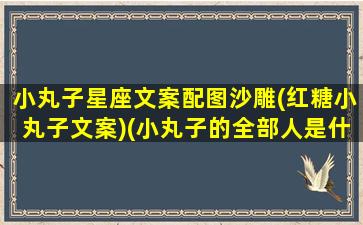 小丸子星座文案配图沙雕(红糖小丸子文案)(小丸子的全部人是什么座)