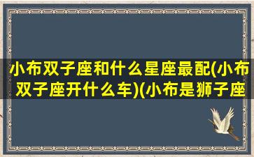 小布双子座和什么星座最配(小布双子座开什么车)(小布是狮子座吗)