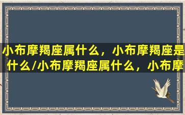 小布摩羯座属什么，小布摩羯座是什么/小布摩羯座属什么，小布摩羯座是什么-我的网站