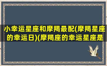 小幸运星座和摩羯最配(摩羯星座的幸运日)(摩羯座的幸运星座是谁)