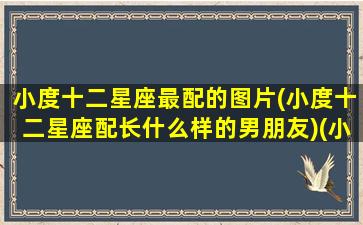 小度十二星座最配的图片(小度十二星座配长什么样的男朋友)(小度十二星座哪个最好)