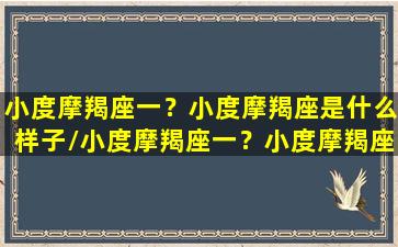 小度摩羯座一？小度摩羯座是什么样子/小度摩羯座一？小度摩羯座是什么样子-我的网站