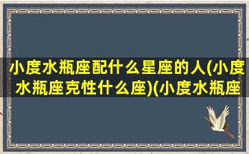 小度水瓶座配什么星座的人(小度水瓶座克性什么座)(小度水瓶座的性格是怎样的)