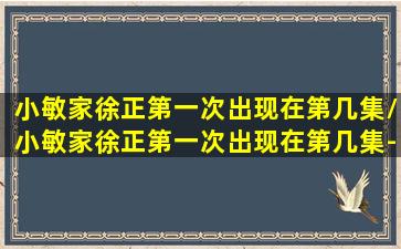 小敏家徐正第一次出现在第几集/小敏家徐正第一次出现在第几集-我的网站