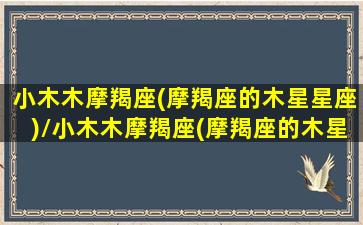 小木木摩羯座(摩羯座的木星星座)/小木木摩羯座(摩羯座的木星星座)-我的网站