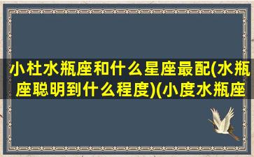 小杜水瓶座和什么星座最配(水瓶座聪明到什么程度)(小度水瓶座和哪个星座)