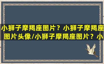 小狮子摩羯座图片？小狮子摩羯座图片头像/小狮子摩羯座图片？小狮子摩羯座图片头像-我的网站